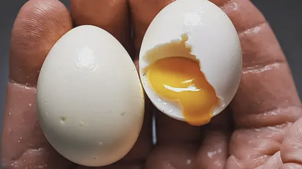Proteína de Huevo
