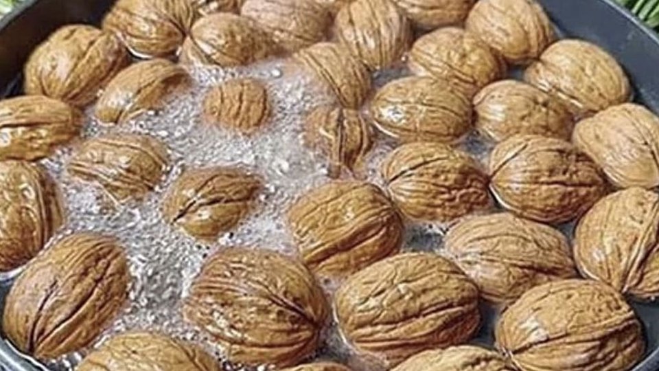 Extracto de Nueces